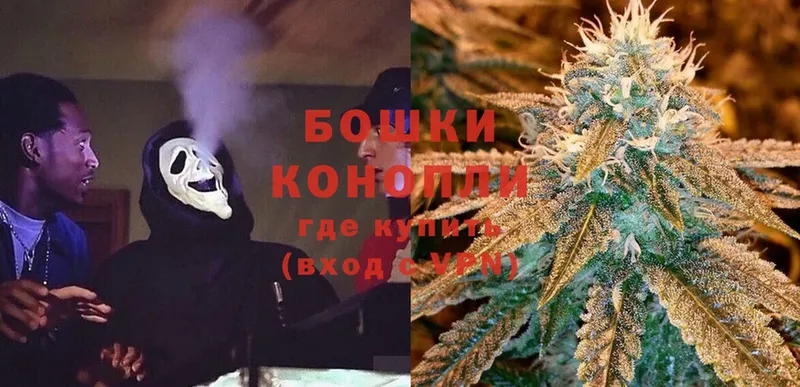 хочу   Рыбинск  Бошки марихуана SATIVA & INDICA 